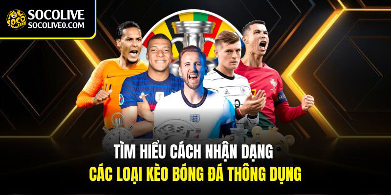 tỷ lệ kèo bóng đá dựa trên nhiều yếu tố